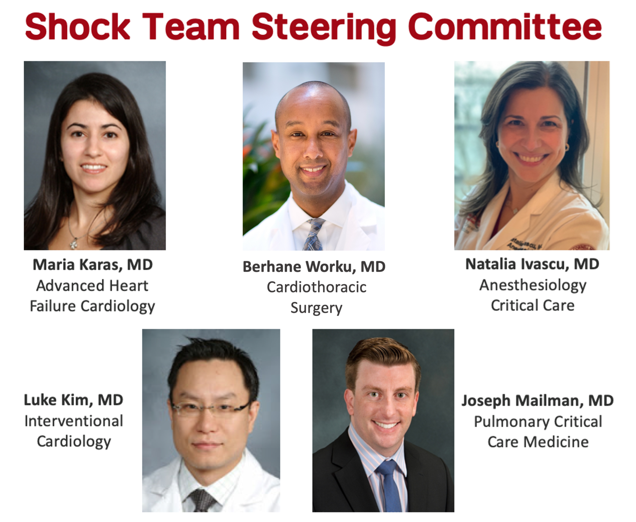Shock Team Steering Committee